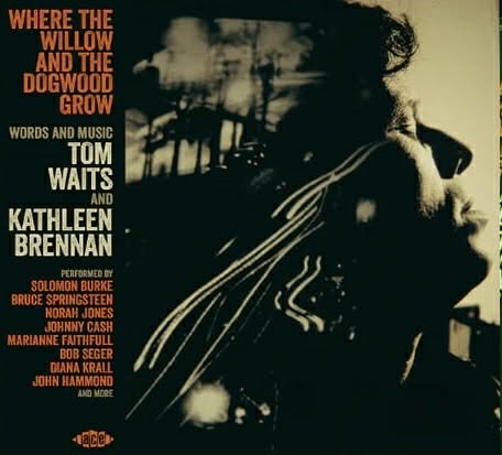 Sample image for first version of blog listing