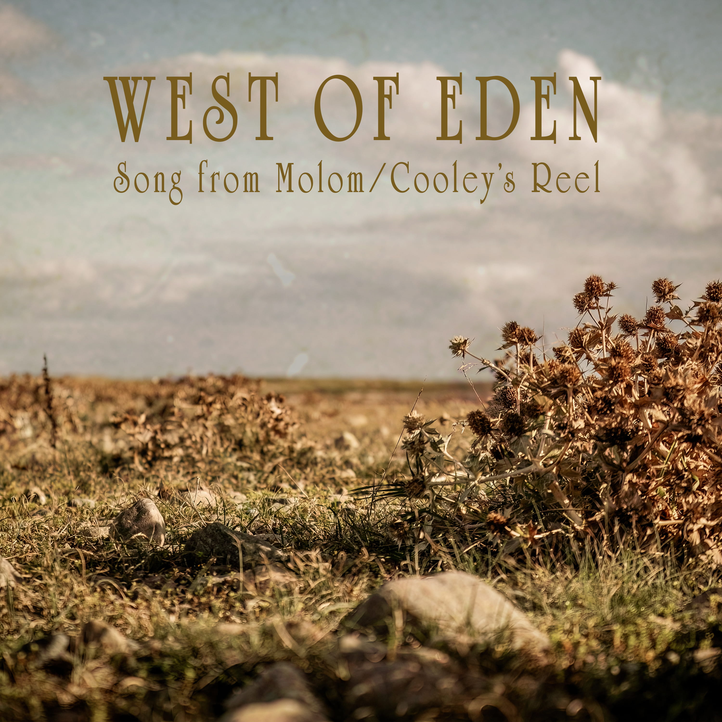 Sample image for first version of blog listing